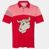 Men's Heathered 3-Stripes Colorblocked Polo Thumbnail