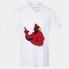 Cotton Blend Polo Thumbnail