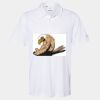 Cotton Blend Polo Thumbnail