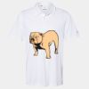 Cotton Blend Polo Thumbnail