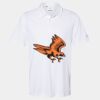 Cotton Blend Polo Thumbnail