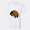 Cotton Blend Polo Thumbnail