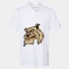 Cotton Blend Polo Thumbnail