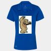 Women's Cotton Blend Polo Thumbnail