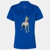 Women's Cotton Blend Polo Thumbnail