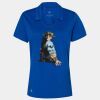 Women's Cotton Blend Polo Thumbnail