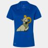 Women's Cotton Blend Polo Thumbnail